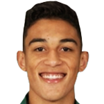 V. Carvalho Vieira