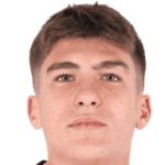 N. Cavuoti N. Cavuoti