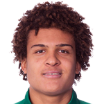 V. Borges dos Santos Neto