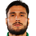 J. Palomino J. Palomino