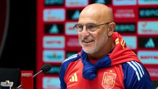 "საქართველომ საკუთარ განვითარებაზე უნდა იფიქროს" - დე ლა ფუენტეს კომენტარი