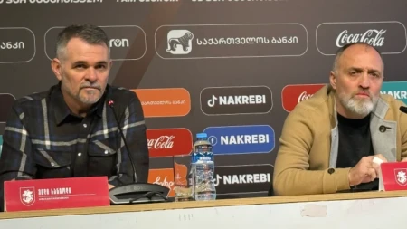 "ვილი საქართველოს ნაკრებისთვის საუკეთესო მწვრთნელია" - ალექსანდრე იაშვილი