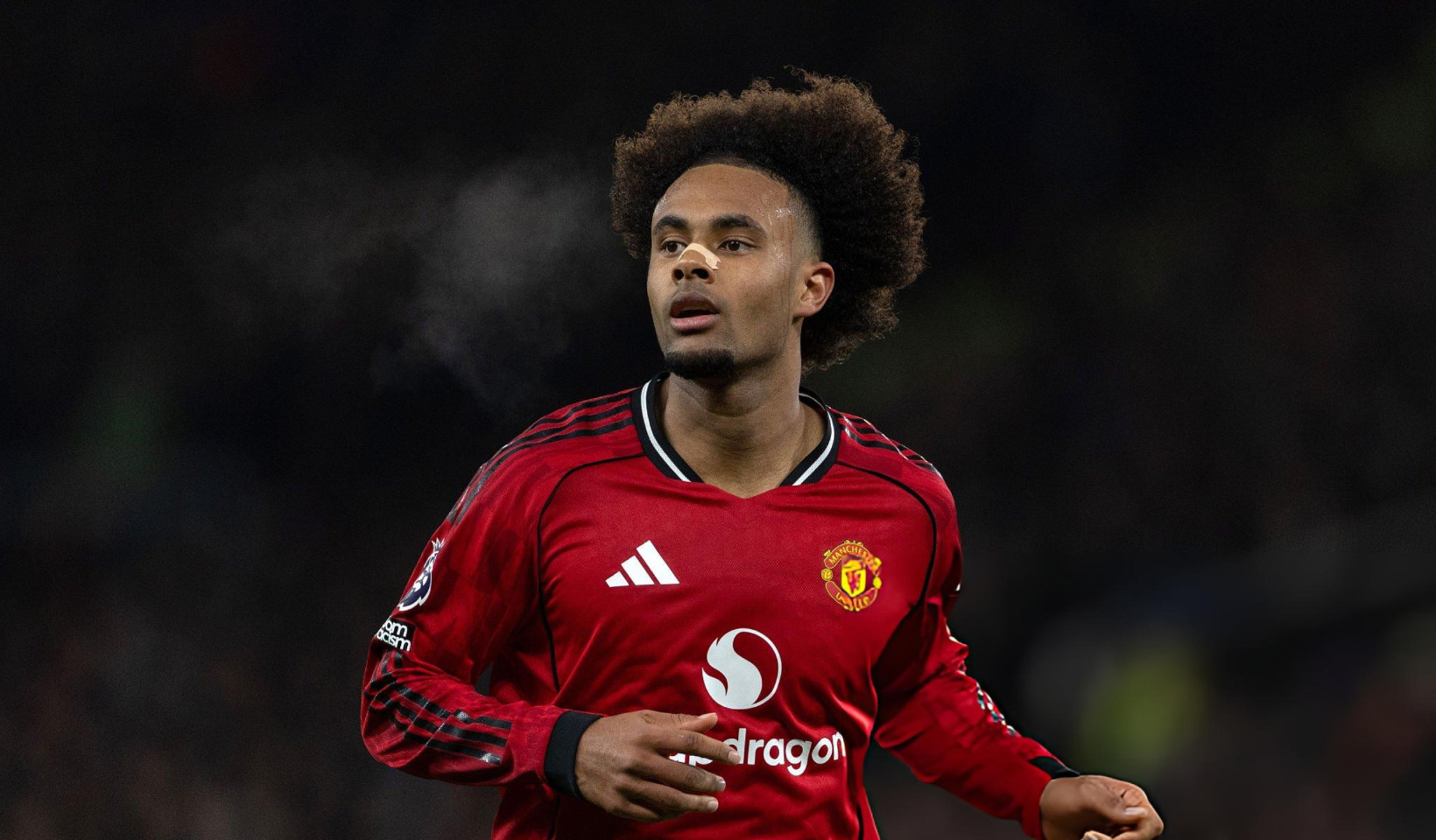 მოლაპარაკებები დაწყებულია — ზირკზე შესაძლოა იტალიაში დაბრუნდეს